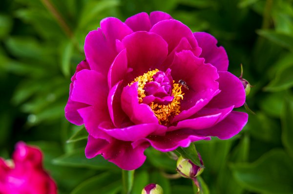 How can real estate developments incorporate renewable energy sources like wind and solar power?