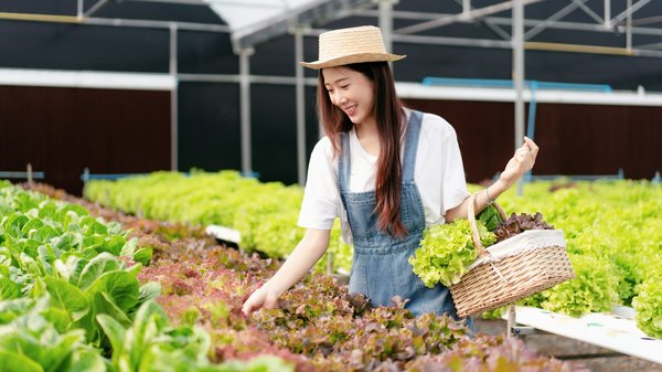 What Are the Effects of Plant-Based Diets on Cardiovascular Health?