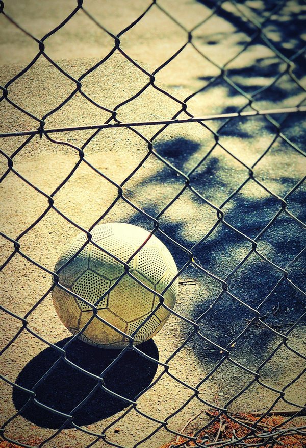 What Are the Most Effective Ways to Reduce Excessive Barking in Small Dog Breeds?