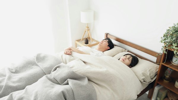 How to Safely Introduce a New Guinea Pig to an Established Colony?