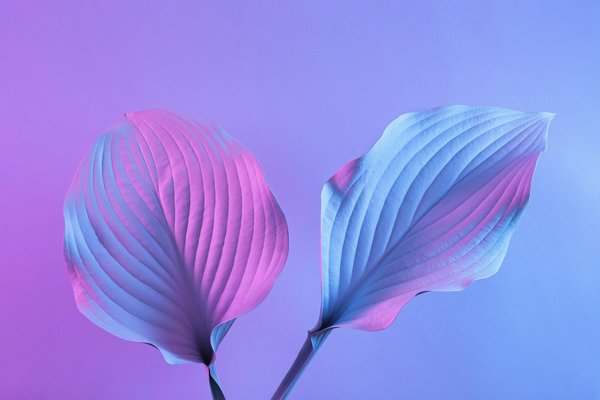 How Can Coaches Effectively Integrate New Technology in Training for Competitive Swimmers?